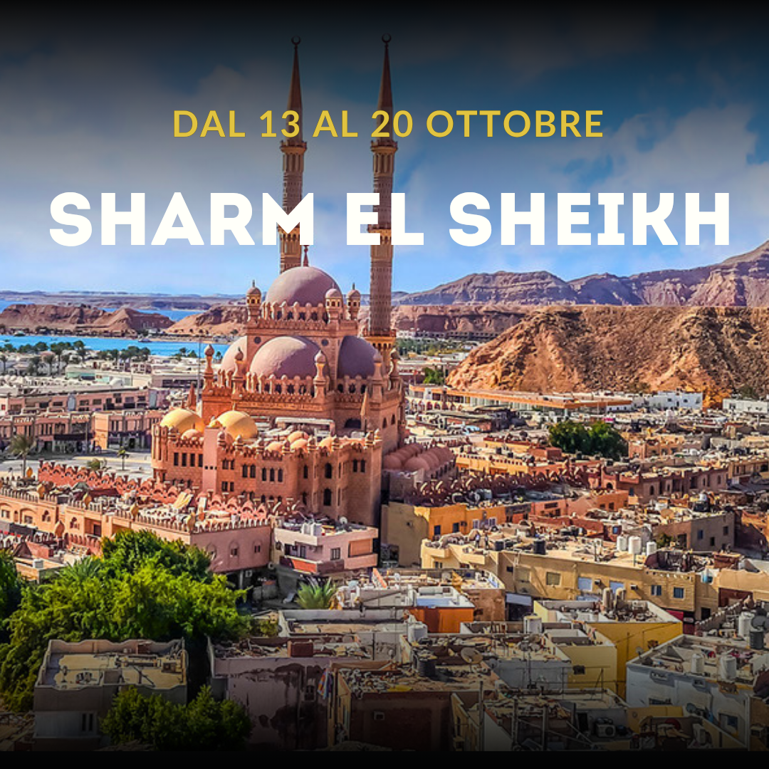 13 - 20 OTTOBRE