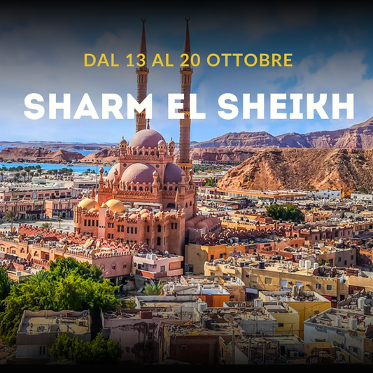13 - 20 OTTOBRE